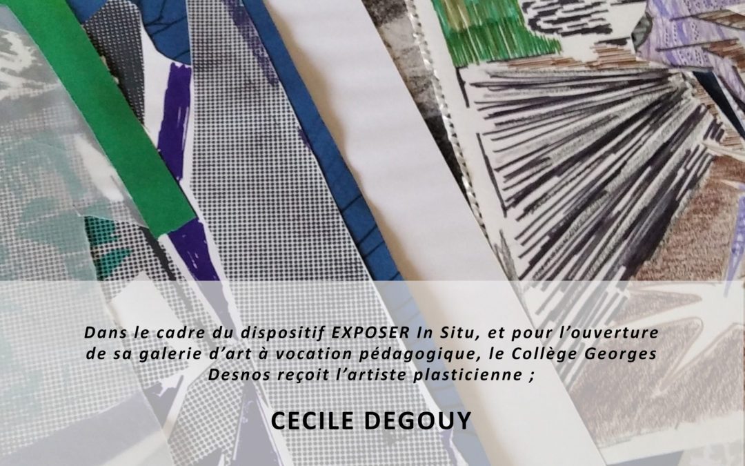 Exposition de Cécile Degouy